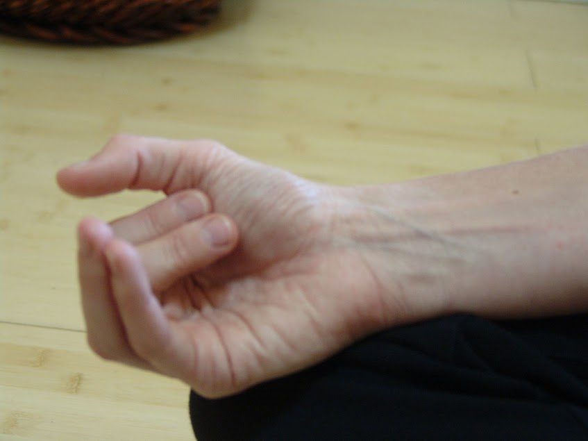 Vishnu Mudra or Nasagra Mudra: often used in Nadi Shodhana Pranayama