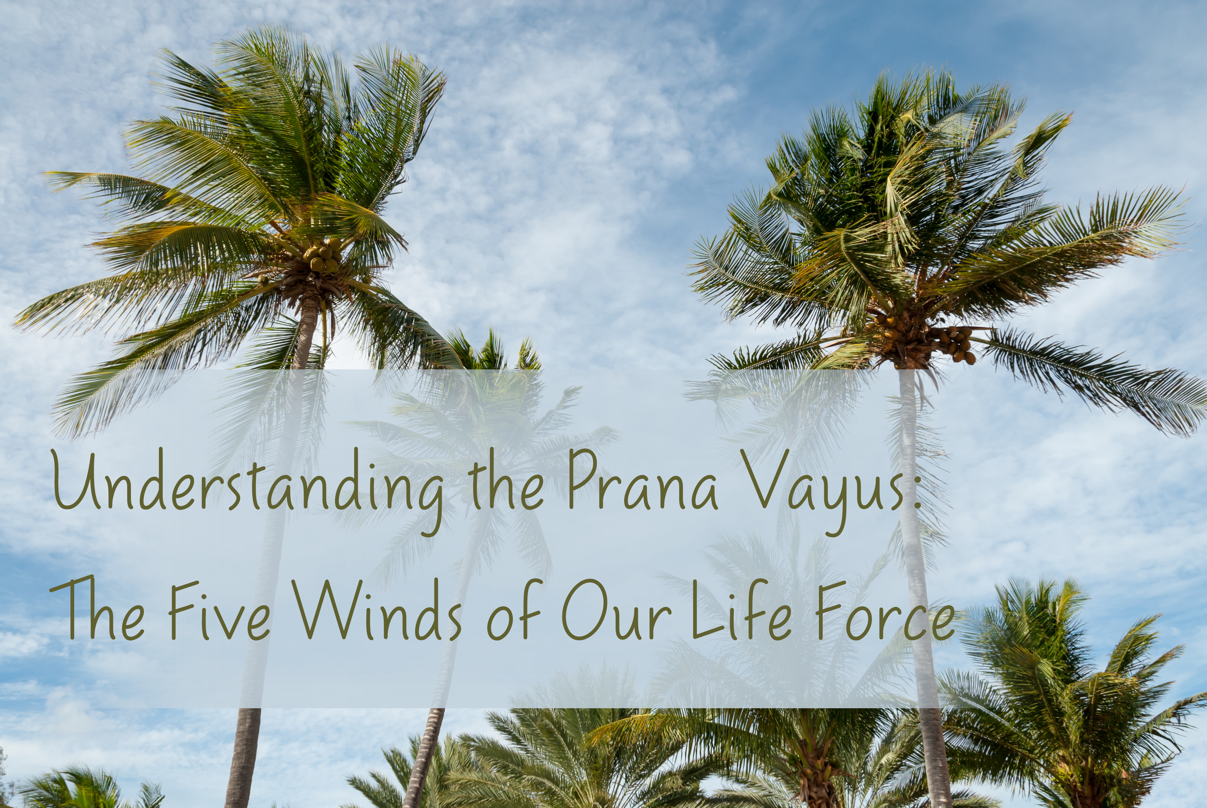 Understanding the Prana Vayus: The Five Winds of Our Life Force