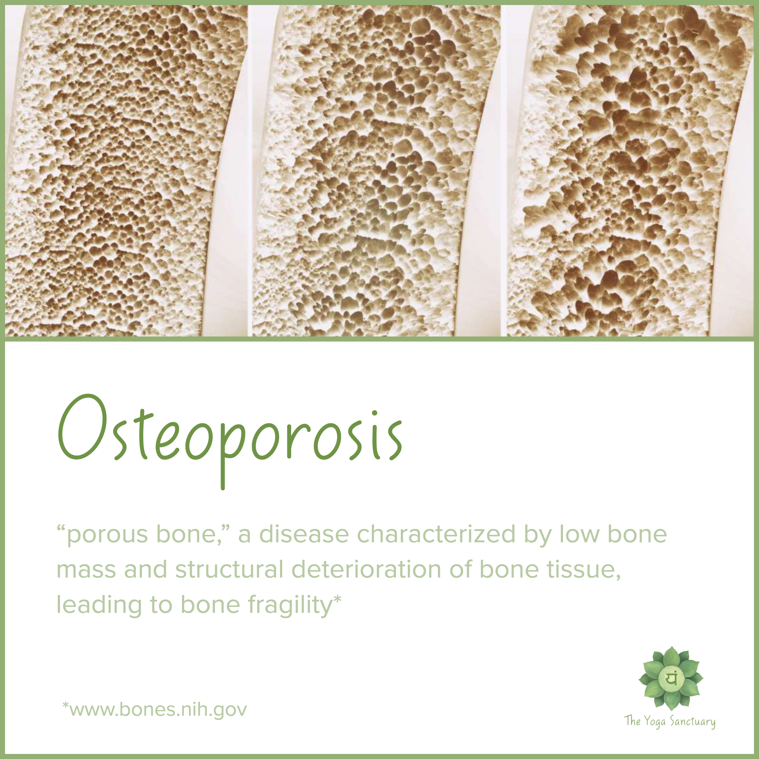 yoga & osteoporosis