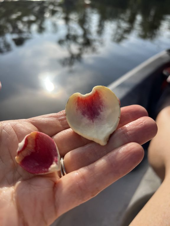 Jennifer French, owner of The Yoga Sanctuary in Punta Gorda, Florida, holding two leaves, one heart shaped. 