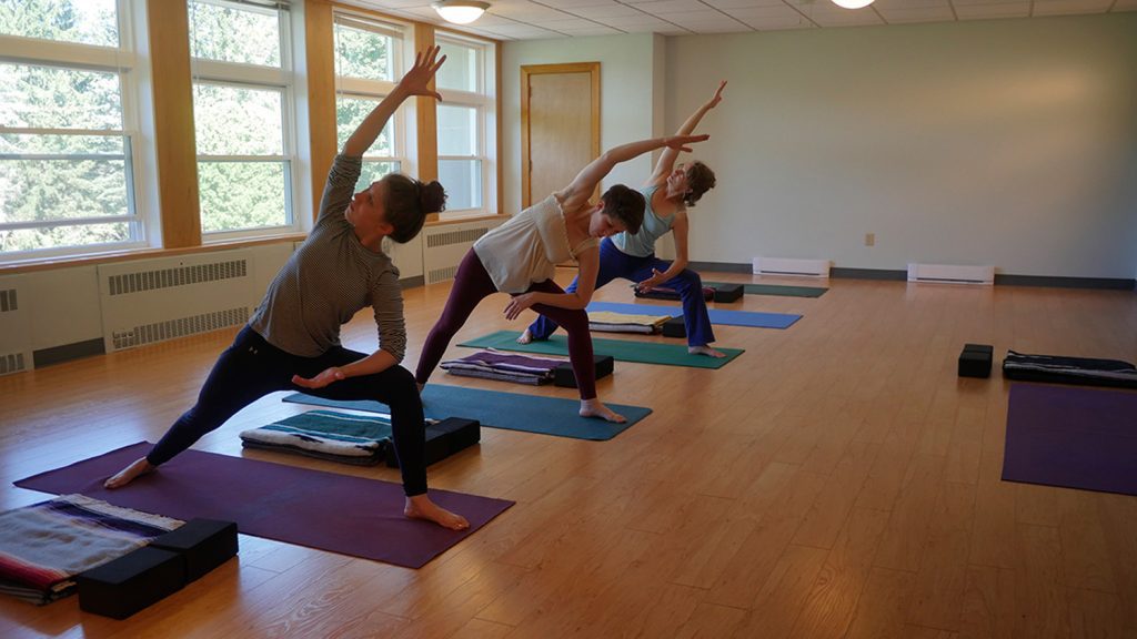 A yoga class at the Himalayan Institute