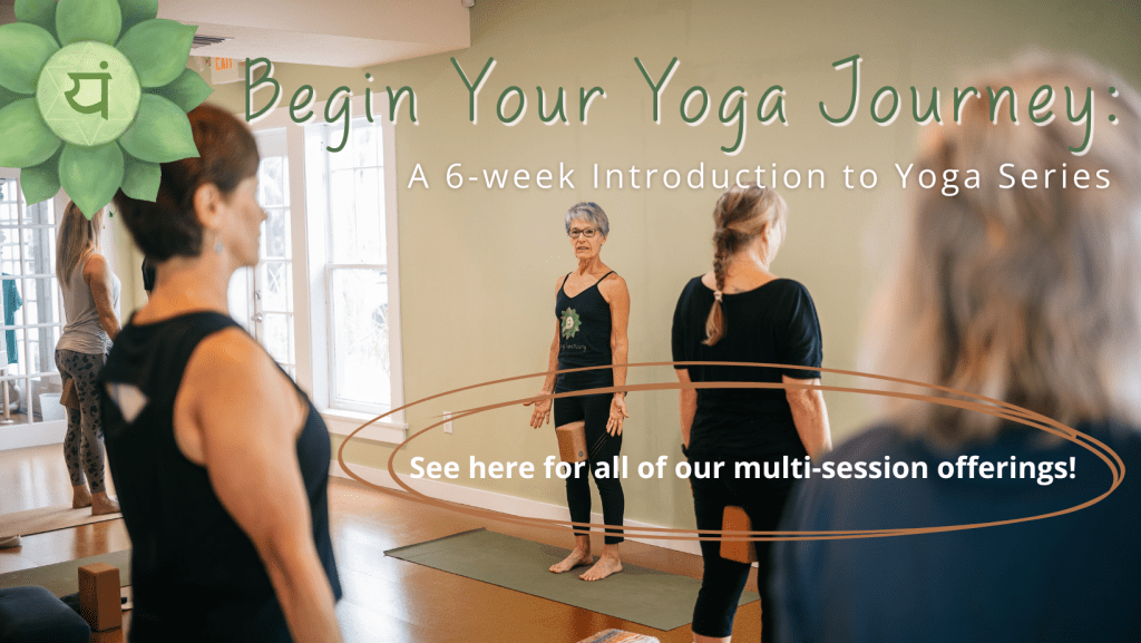 Multi session workshops and events offered at The Yoga Sanctuary in Downtown Punta Gorda, Florida