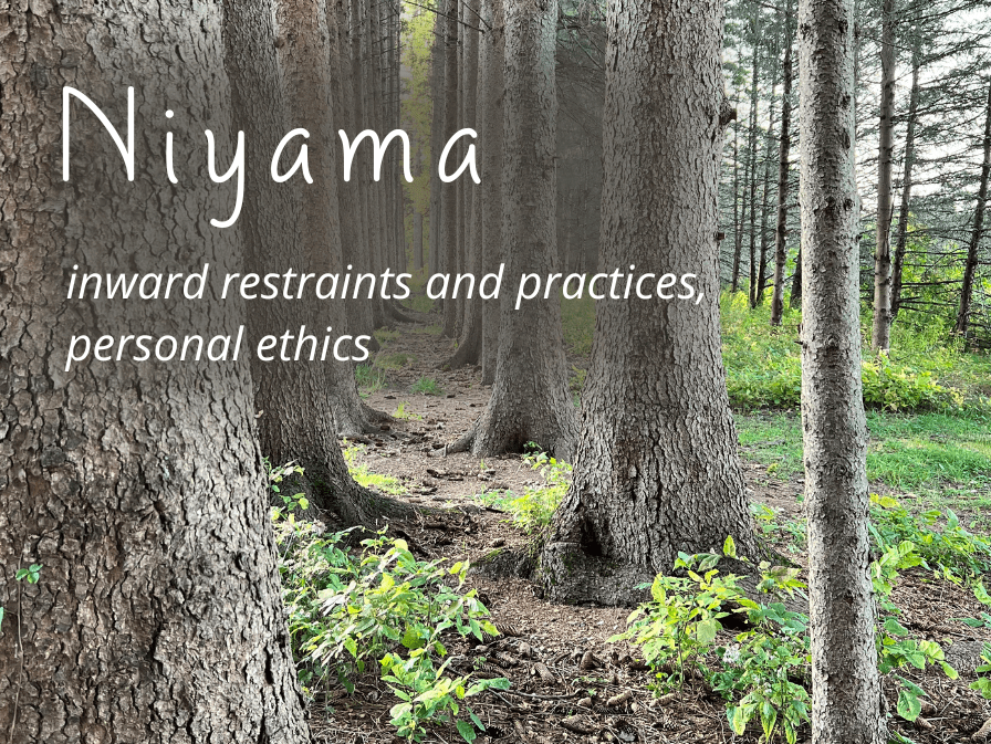 The Second Limb of Yoga: Niyama and the Five Personal Ethics for Inner Balance and Growth